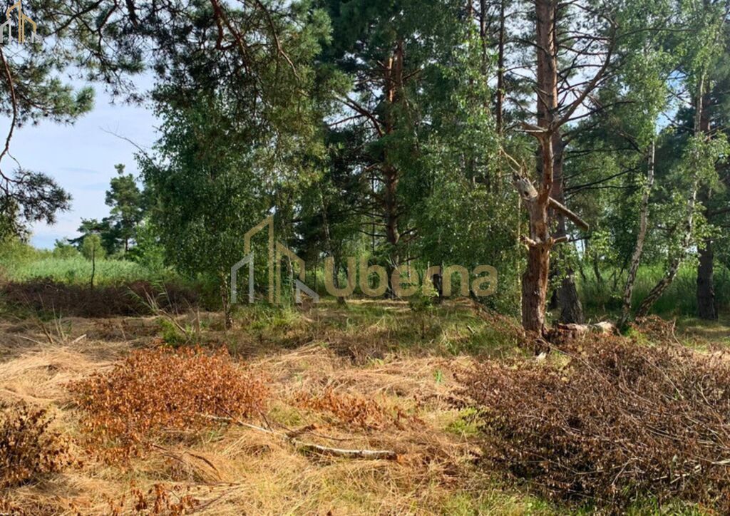 Działka nad morzem (9)