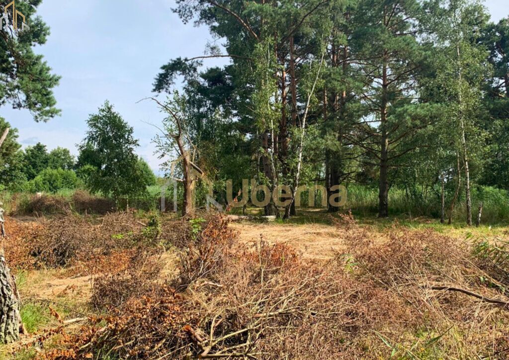 Działka nad morzem (10)