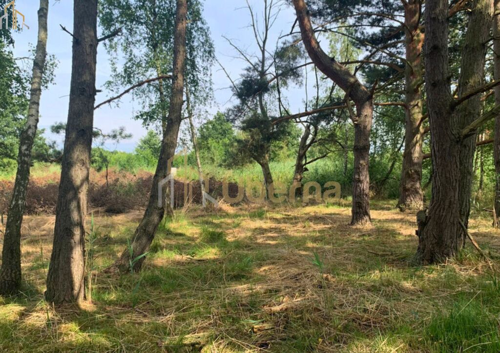 Działka nad morzem (3)