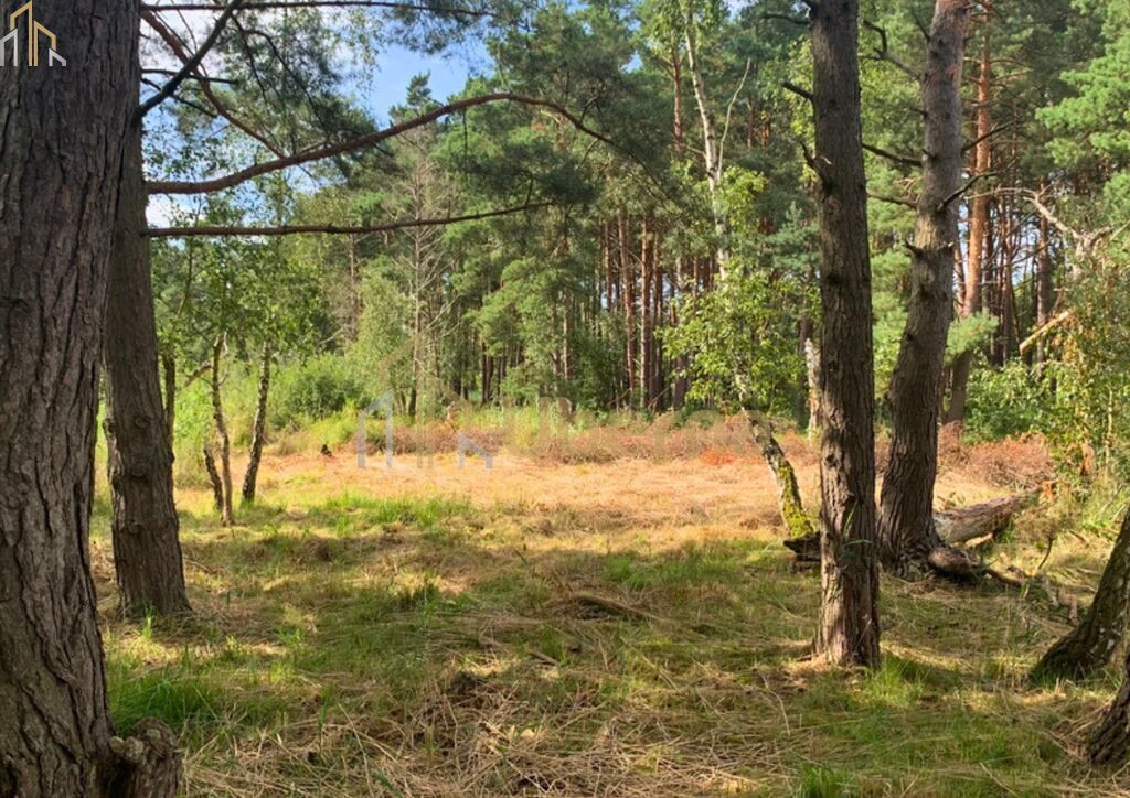 Działka nad morzem (11)