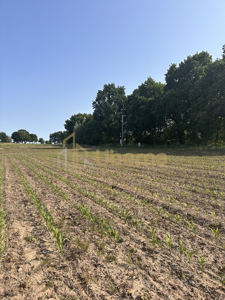 Działka w Radzanku–Gm.Maszewo war.zabud. (3)