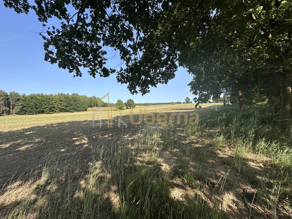 Działka w Radzanku–Gm.Maszewo war.zabud. (5)