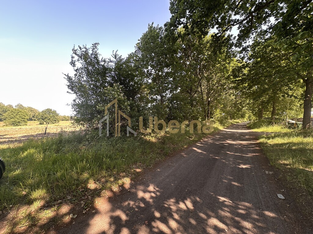 Działka w Radzanku–Gm.Maszewo war.zabud. (7)