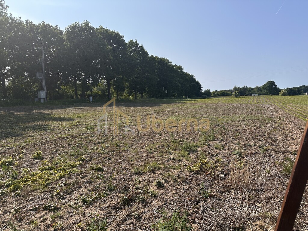 Działka w Radzanku–Gm.Maszewo war.zabud. (9)