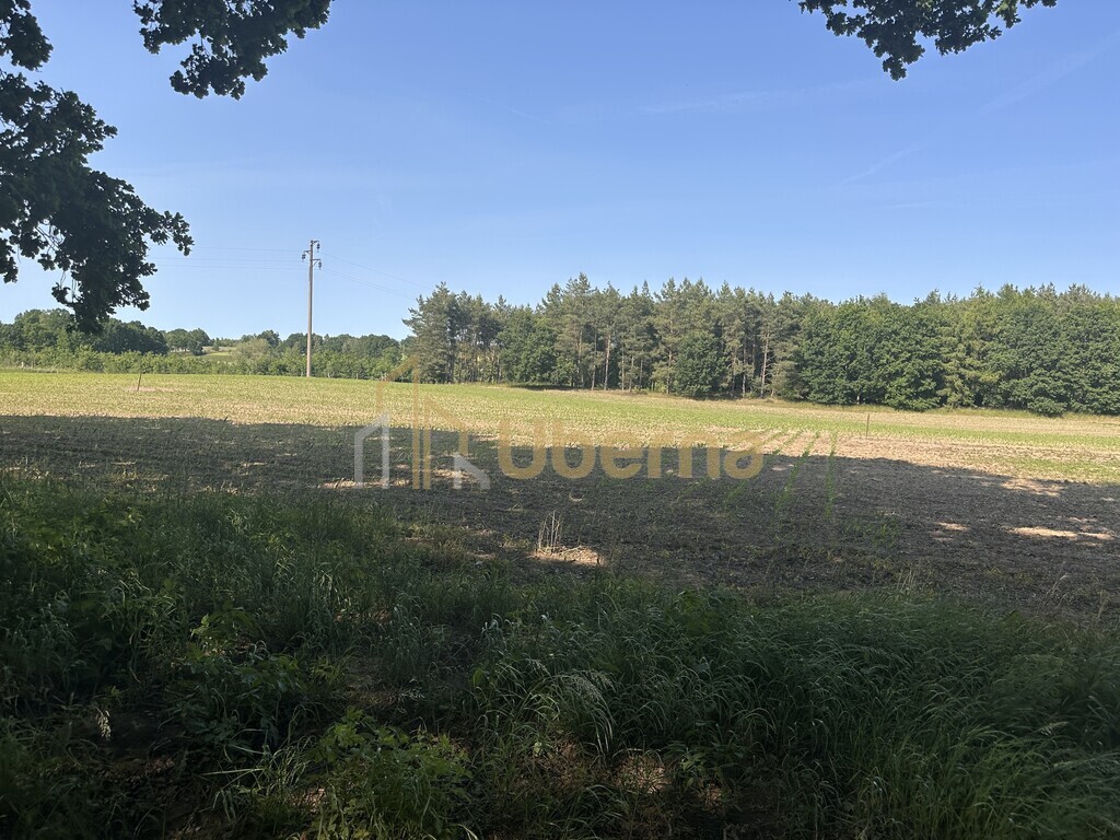 Działka w Radzanku–Gm.Maszewo war.zabud. (12)