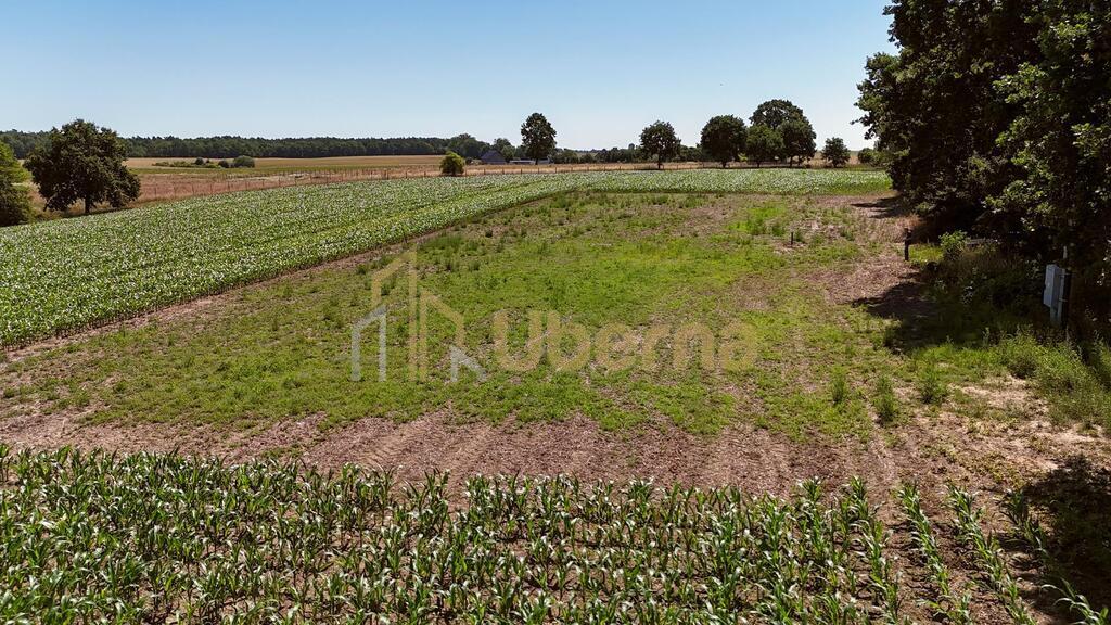 Działka w Radzanku–Gm.Maszewo war.zabud. (15)