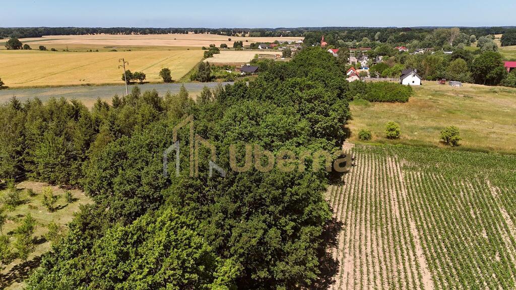 Działka w Radzanku–Gm.Maszewo war.zabud. (16)