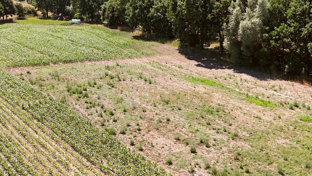 Działka w Radzanku–Gm.Maszewo war.zabud. (2)