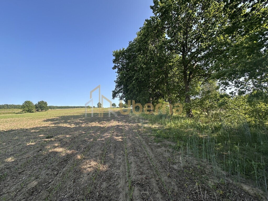 Działka z W.Zabudowy w Radzanku –Gm.Maszewo (9)