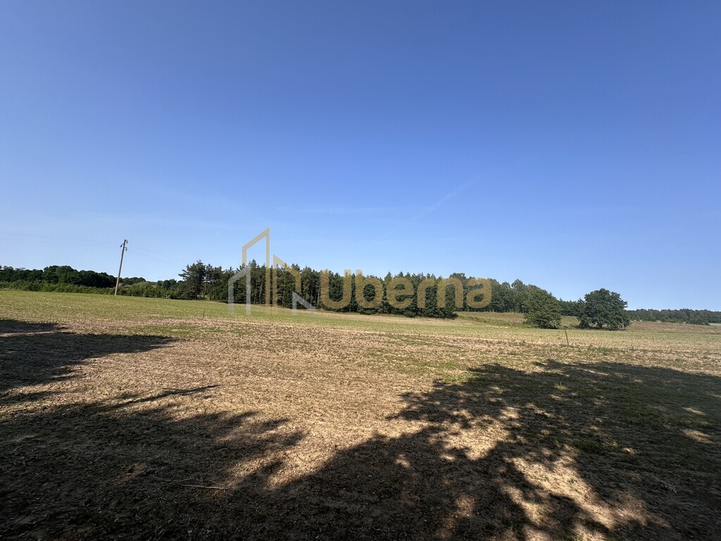 Działka z W.Zabudowy w Radzanku –Gm.Maszewo (12)