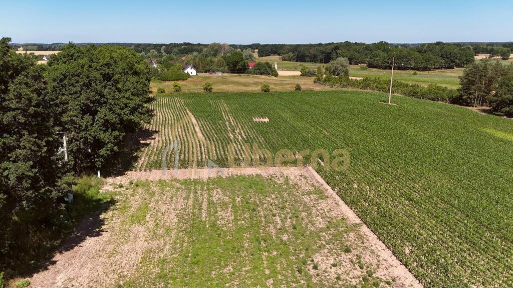 Działka z W.Zabudowy w Radzanku –Gm.Maszewo (22)