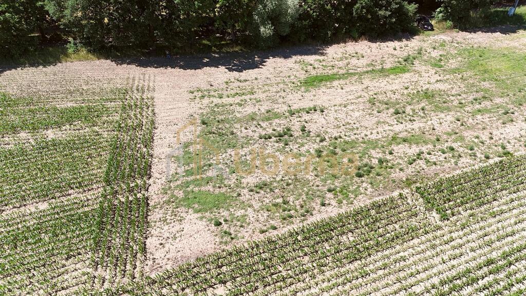 Działka z W.Zabudowy w Radzanku –Gm.Maszewo (23)