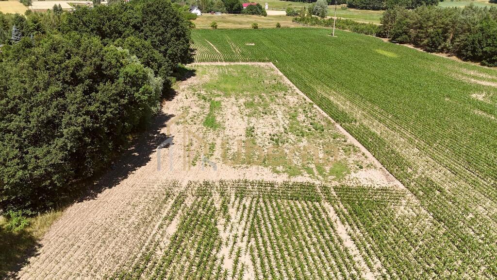 Działka z W.Zabudowy w Radzanku –Gm.Maszewo (2)