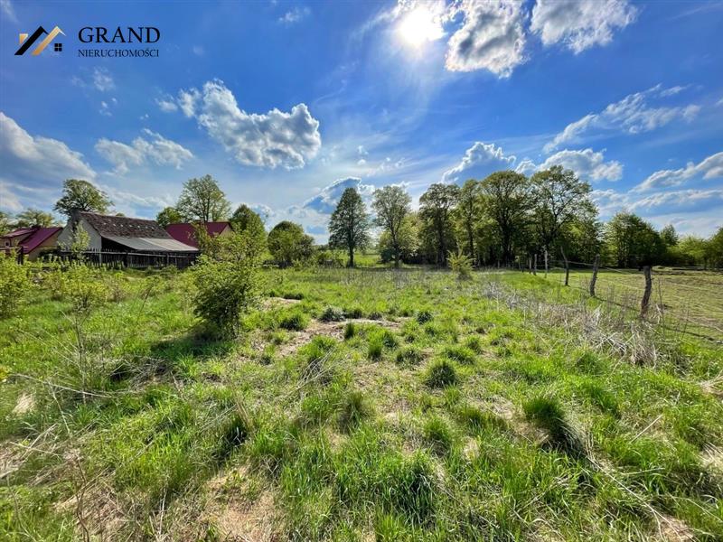 Działka pod budownictwo jednorodzinne- Drzewiany (1)