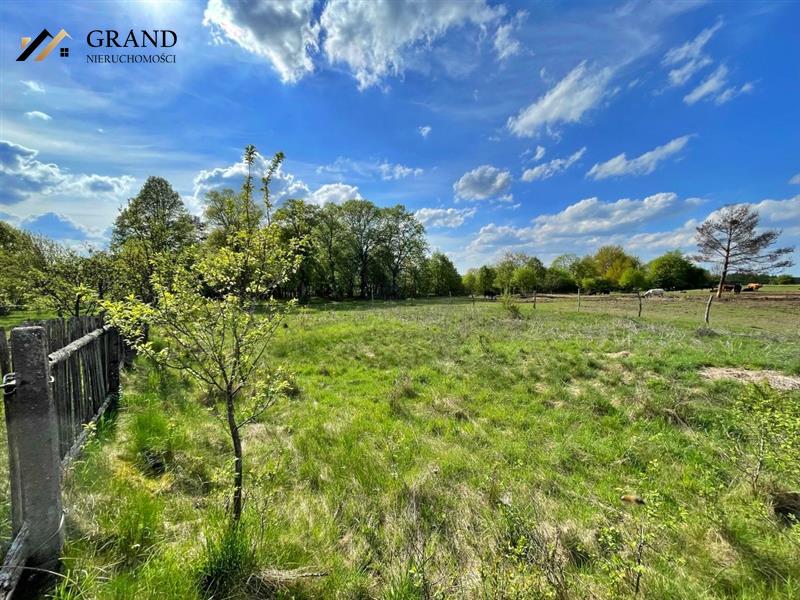 Działka pod budownictwo jednorodzinne- Drzewiany (3)