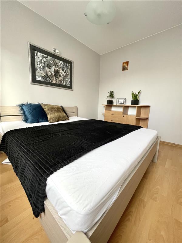 Mieszkanie - Kołobrzeg  (4)