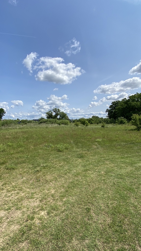 Działka z lasem (3)