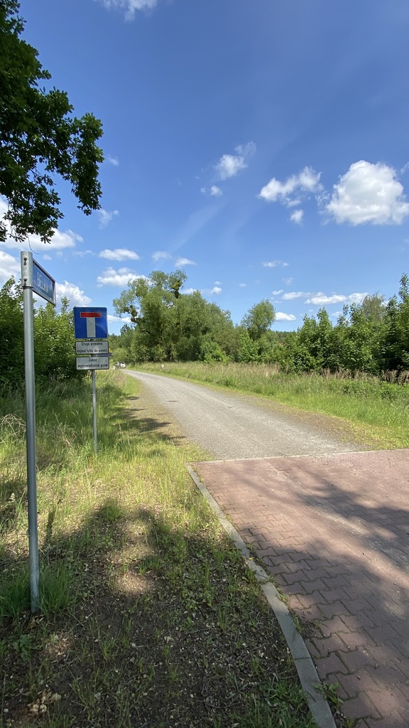 Działka z lasem (4)