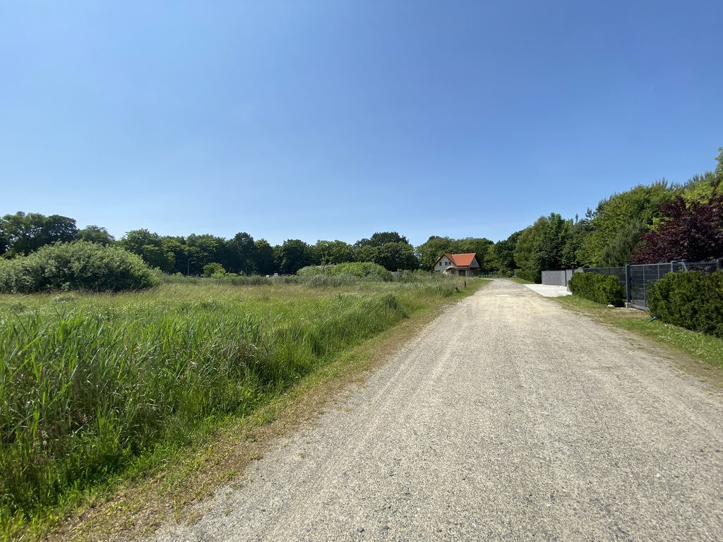 Działka z lasem (6)