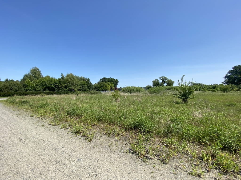 Działka z lasem (9)