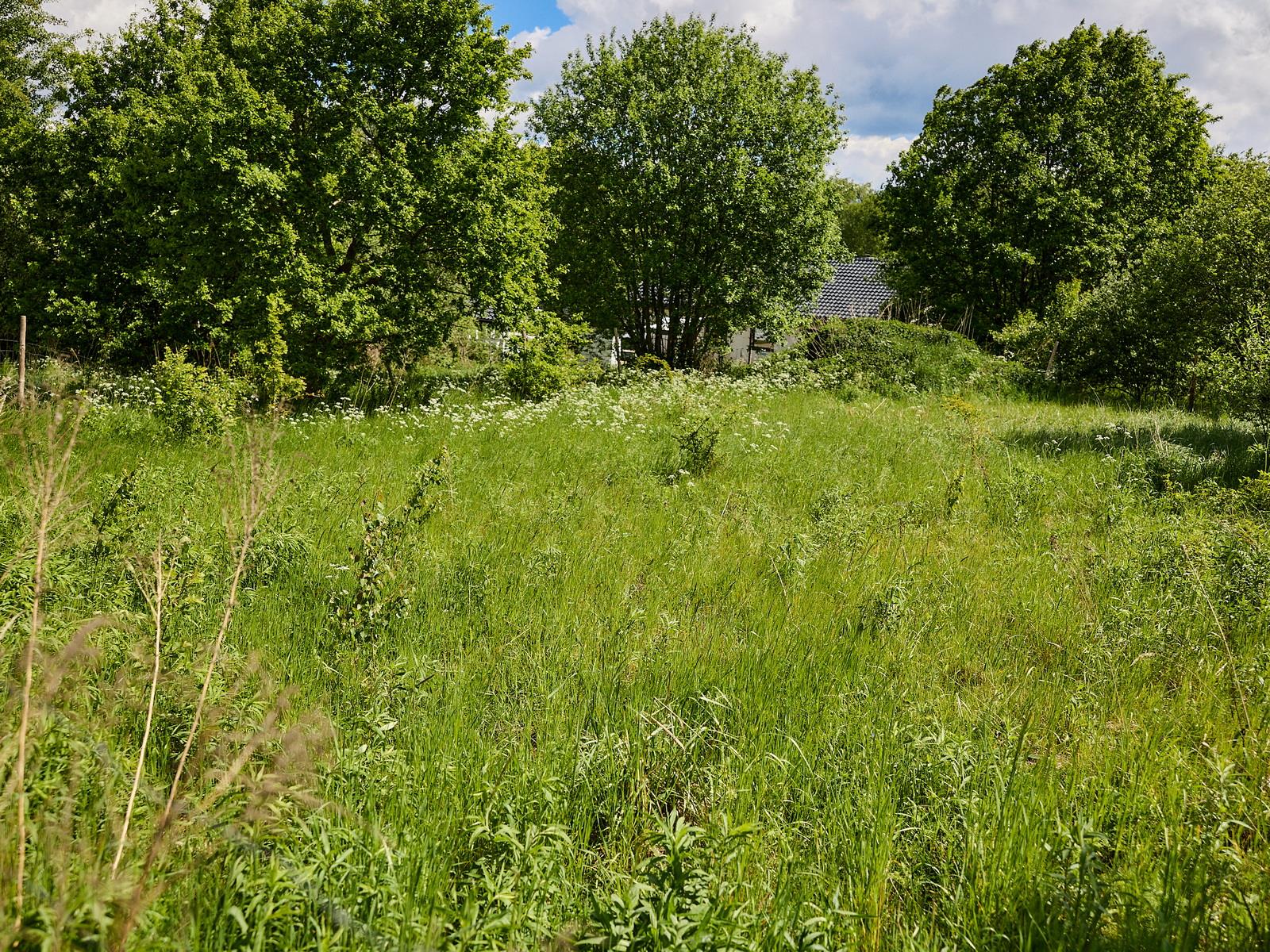 Działka budowlana - Drawsko Pomorskie  (8)