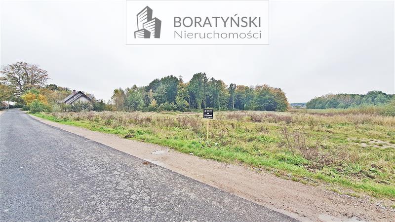 Działka - Niekłonice Niekłonice (1)