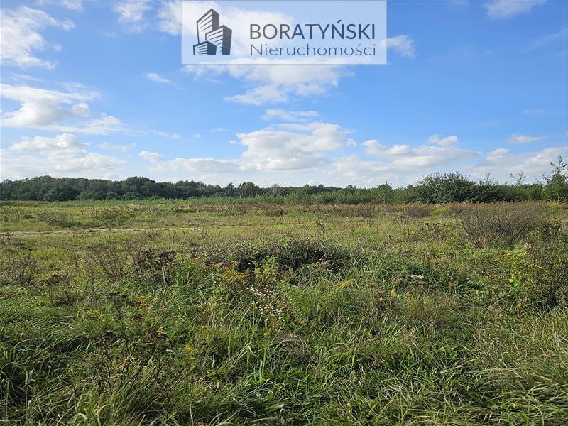 Działka - Niekłonice Niekłonice (8)