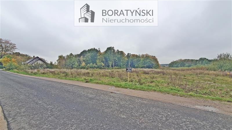 Działka - Niekłonice Niekłonice (3)