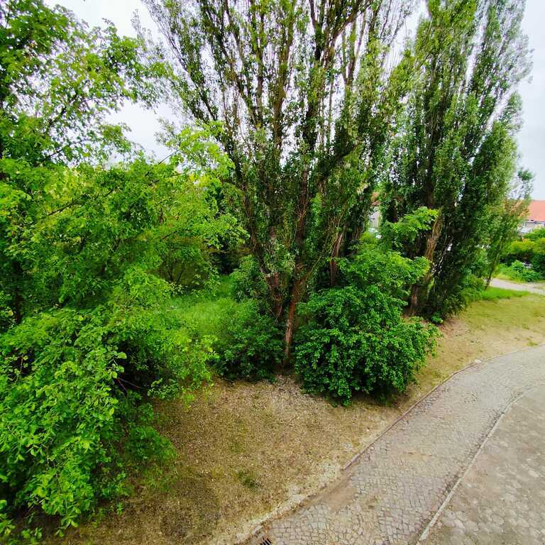 Kawalerka Podjuchy 189 tys. (13)