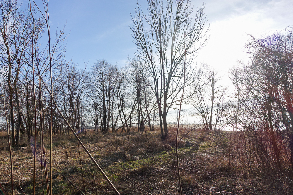 Hala 570 m2, działka 7129 m2, dostęp do wody (11)