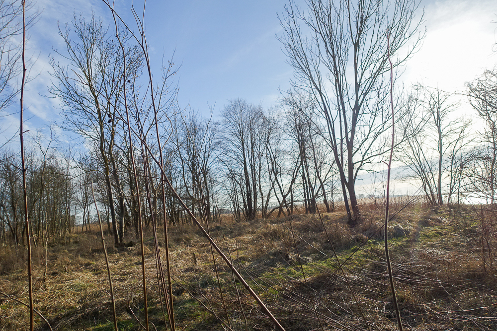 Hala 570 m2, działka 7129 m2, dostęp do wody (12)