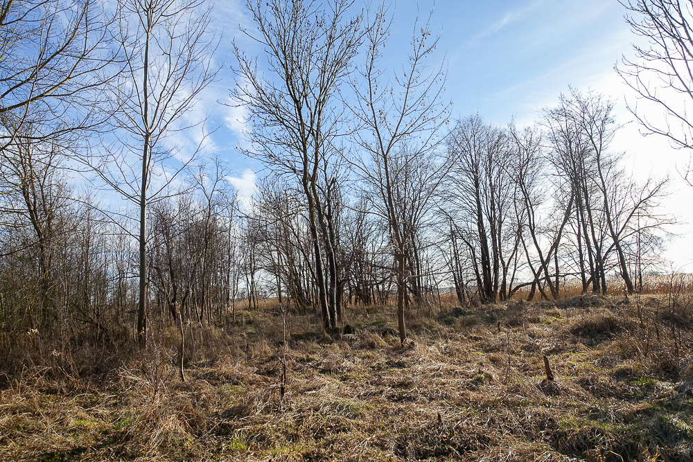 Hala 570 m2, działka 7129 m2, dostęp do wody (14)