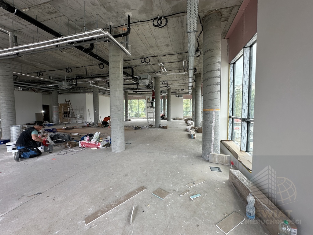 Lokal, 319 m2, parter, Szczecin Nowe Miasto (4)