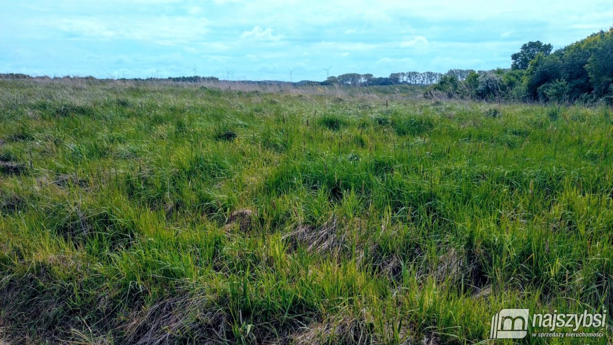 Bieczyno - działka rolna z warunki zabudowy (2)