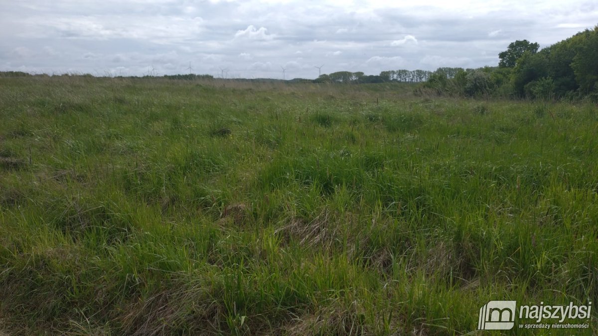 Bieczyno - działka rolna z warunki zabudowy (3)