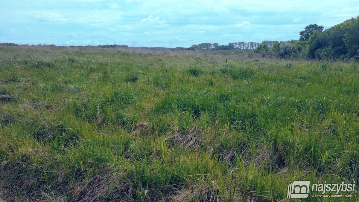 Bieczyno - działka rolna z warunki zabudowy (5)