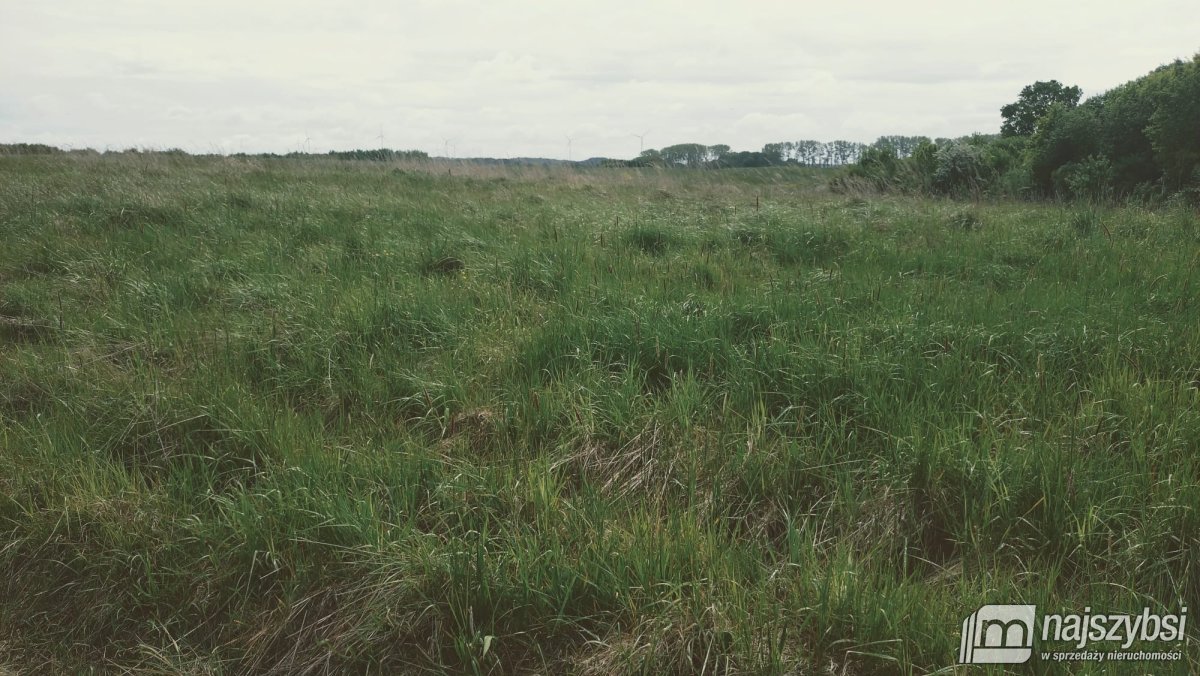 Bieczyno - działka rolna z warunki zabudowy (6)