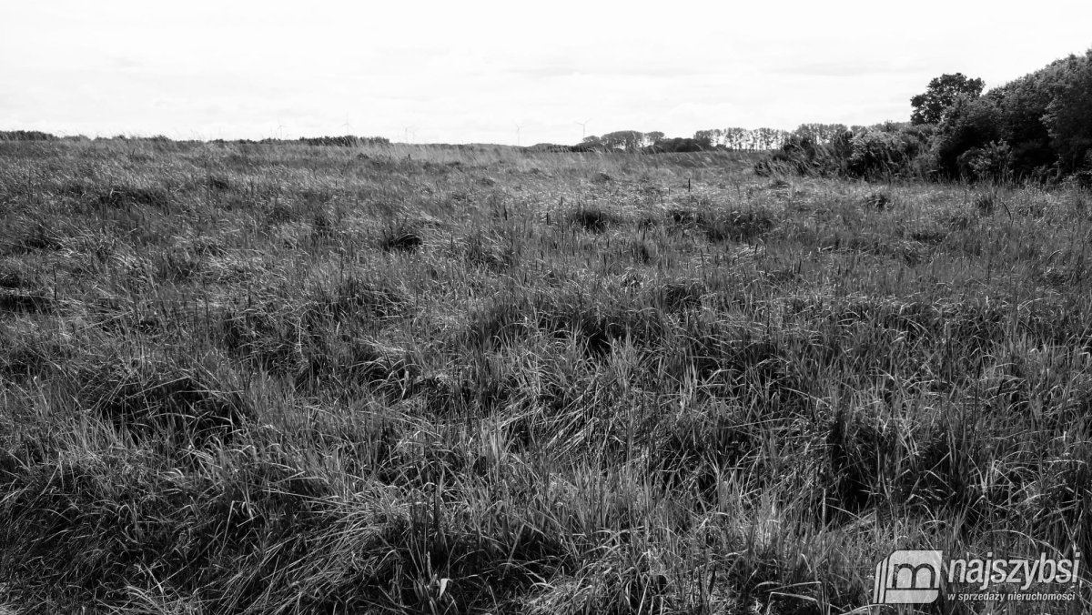 Bieczyno - działka rolna z warunki zabudowy (7)