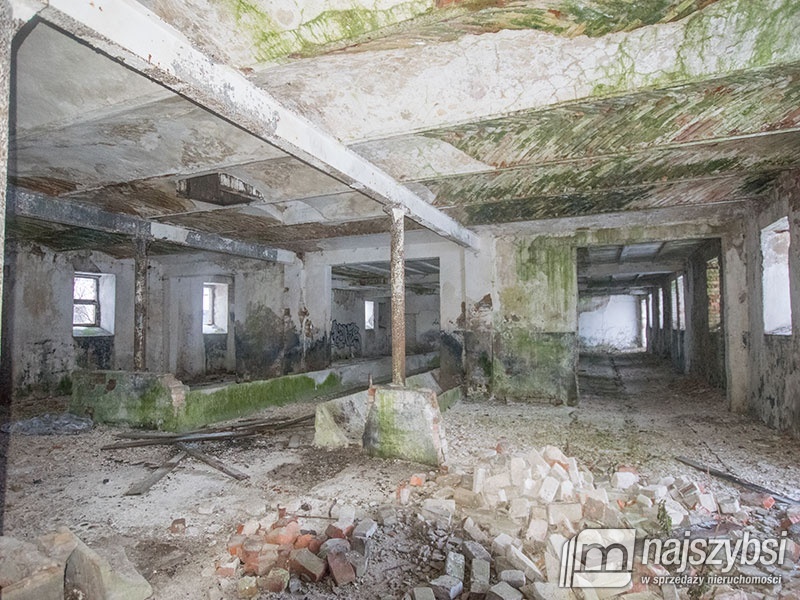 ZIEMIA< HALE< MAGAZYNY< STAJNIE DLA KONI (16)