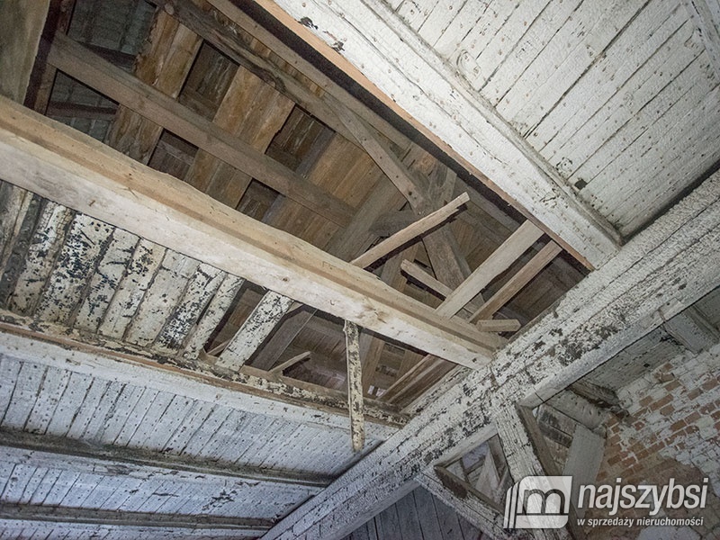 ZIEMIA< HALE< MAGAZYNY< STAJNIE DLA KONI (17)