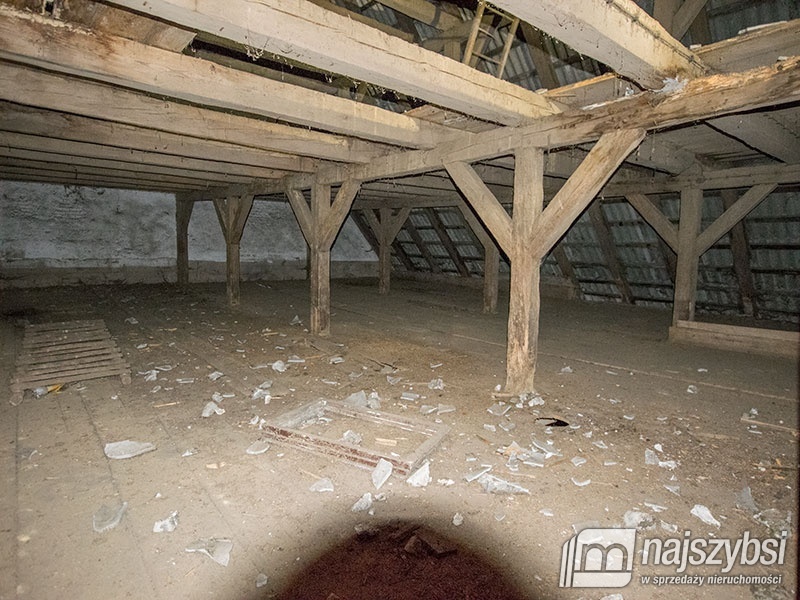 ZIEMIA< HALE< MAGAZYNY< STAJNIE DLA KONI (4)