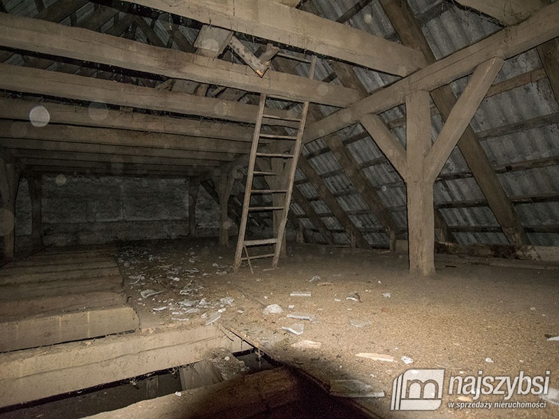 ZIEMIA< HALE< MAGAZYNY< STAJNIE DLA KONI (5)