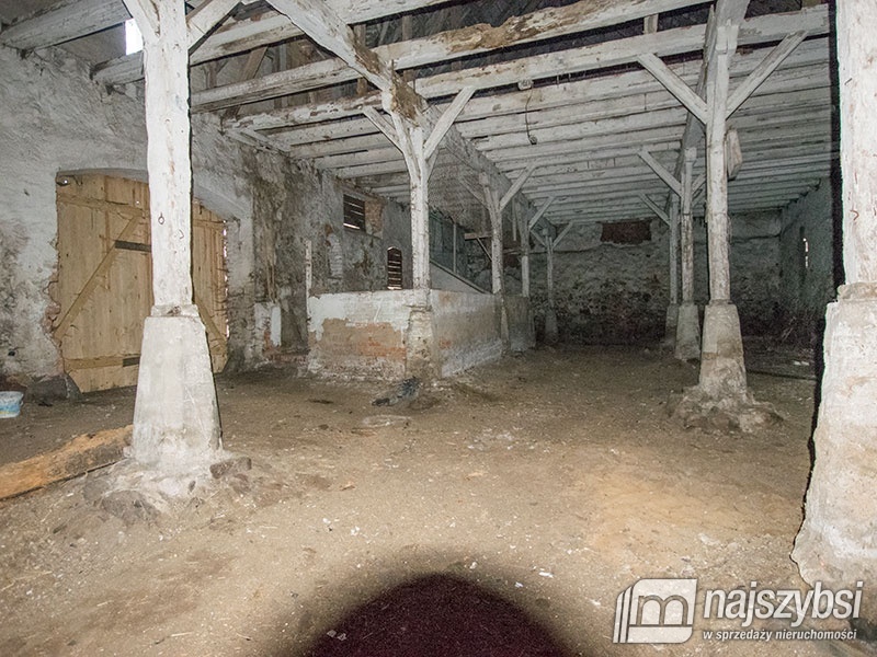 ZIEMIA< HALE< MAGAZYNY< STAJNIE DLA KONI (8)