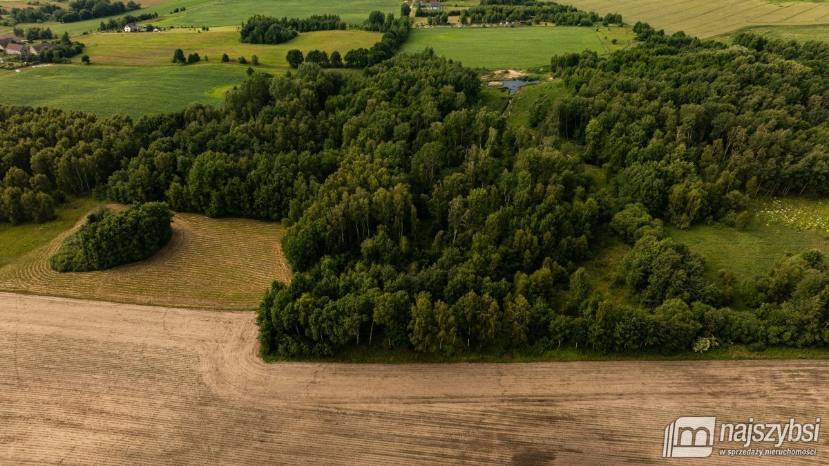 NOWOGARD-ZIEMIA ROLNA 0,68 HA (3)