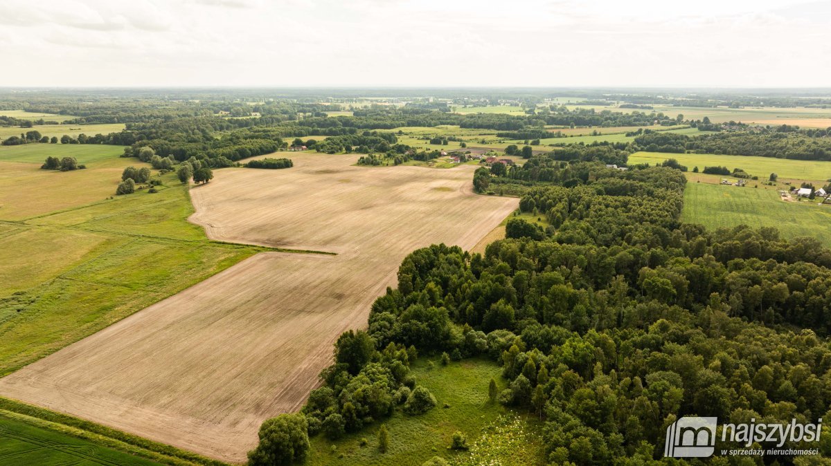 NOWOGARD-ZIEMIA ROLNA 0,68 HA (5)