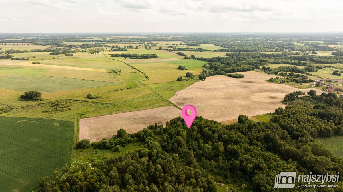 NOWOGARD-ZIEMIA ROLNA 0,68 HA (7)