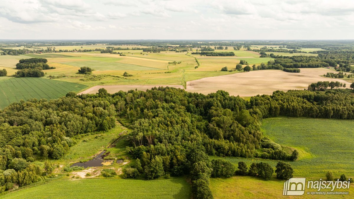 NOWOGARD-ZIEMIA ROLNA 0,68 HA (8)