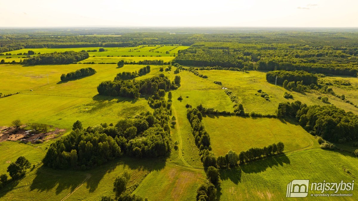 Godowo - gmina Maszewo - działka inwestycyjna (6)