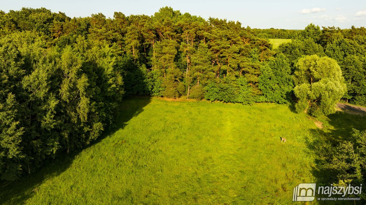 Nowogard - okolica, działka z możliwością zabudowy (1)