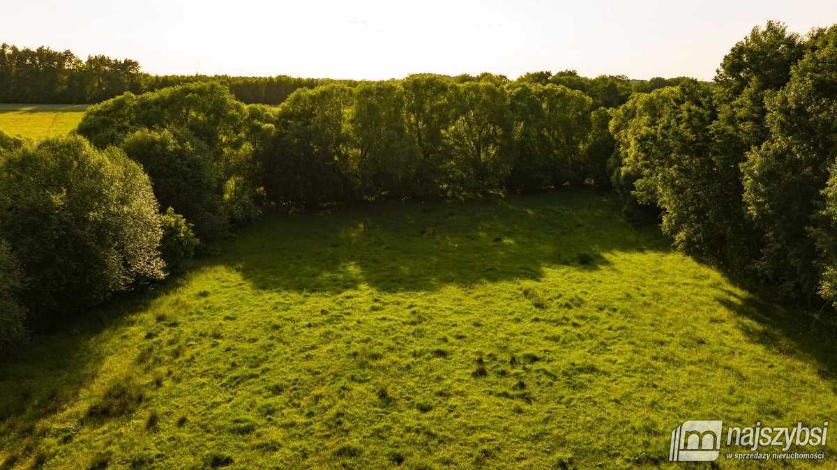 Nowogard - okolica, działka z możliwością zabudowy (2)